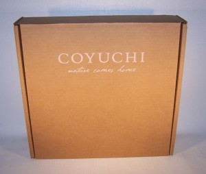 Coyuchi die cut mailer, top panel